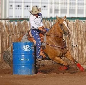 Meet your Posher, Harley